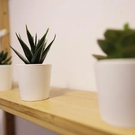 Апартаменты Dormavalencia *