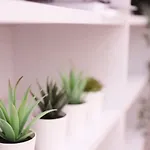 Dormavalencia Apartman *