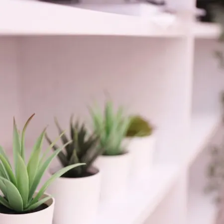 Dormavalencia Apartment *